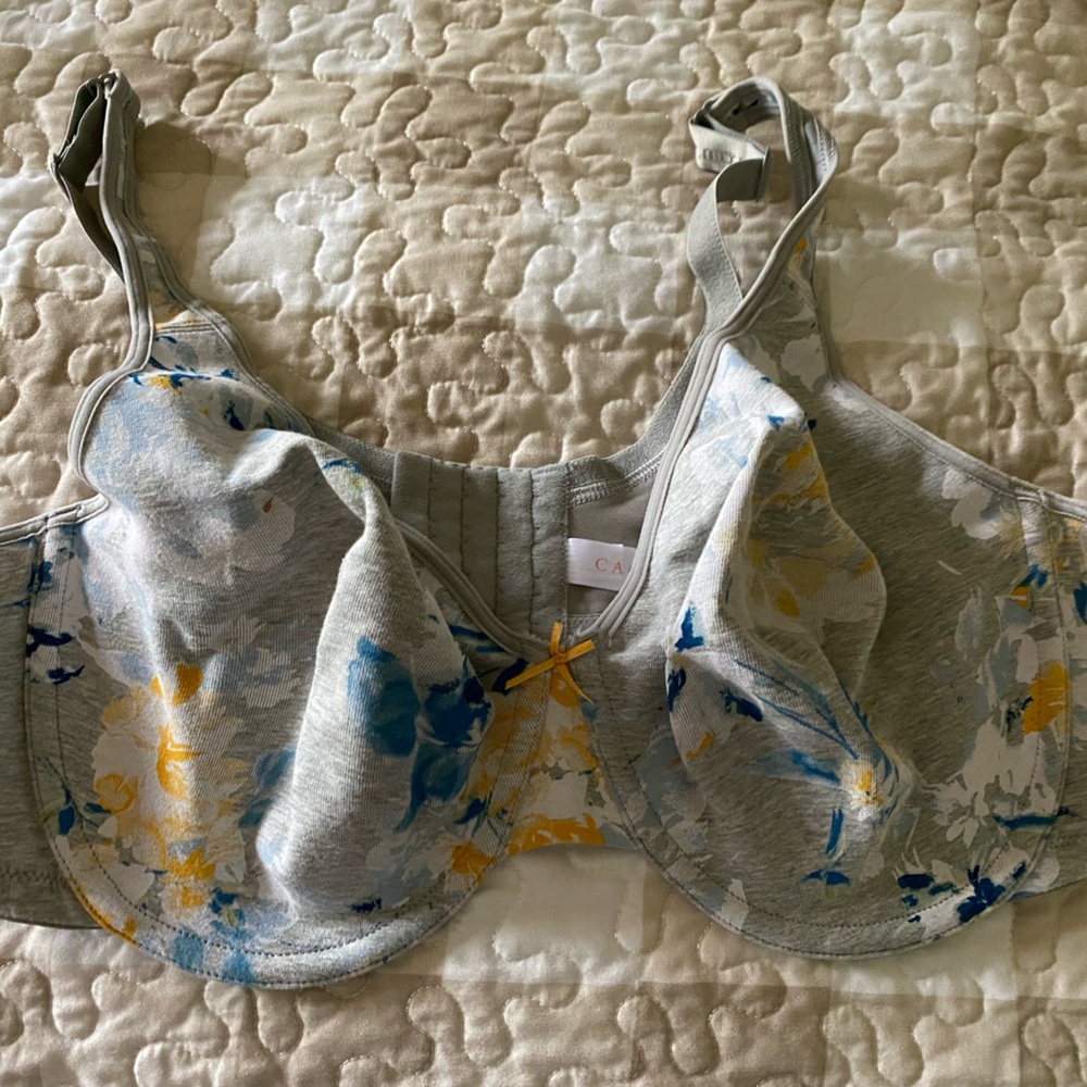 Underwire bra from Lane Bryant. Only worn once. 42DD Like new without tags.